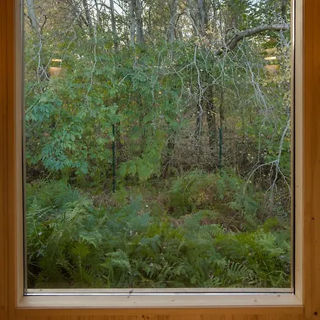 Zen 公寓 萨希诺