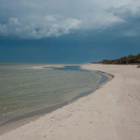 Zen Апартаменты