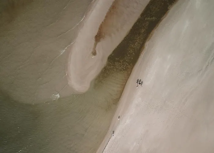 Zen Апартаменты