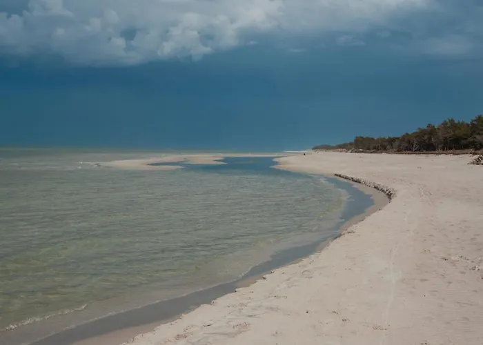 Zen Апартаменты