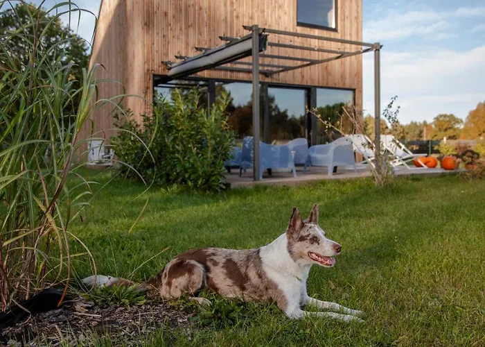 Апартаменты Zen