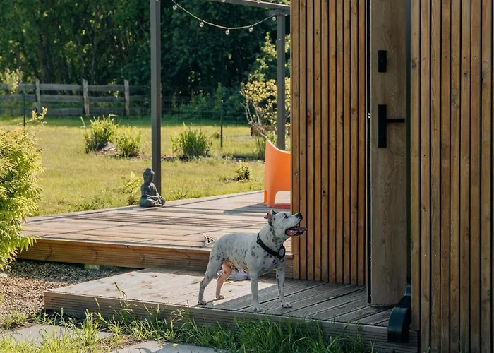 Апартаменты Zen Сашино