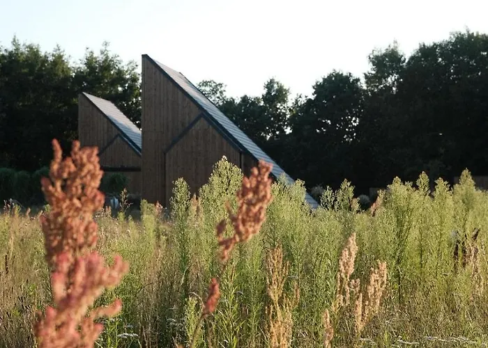 Апартаменты Zen *