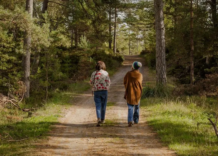 Апартаменты Zen