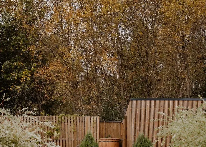 Апартаменты Zen Сашино