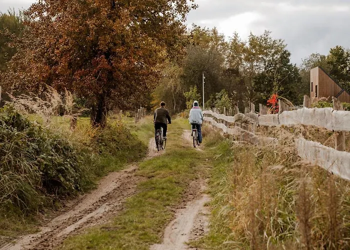 Апартаменты Zen *